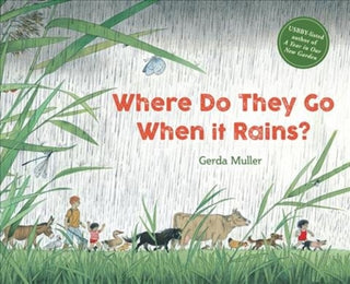 Cover image for 9781782506874 - Where Do They Go When It Rains?