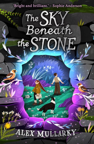 Cover image for 9781782507871 - The Sky Beneath the Stone