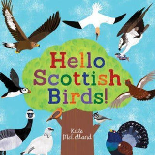 Cover image for 9781782508335 - Hello Scottish Birds