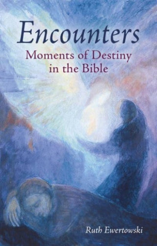Cover image for 9781782508687 - Encounters: Moments of Destiny in the Bible