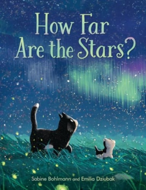 Cover image for 9781782509127 - How Far Are the Stars?