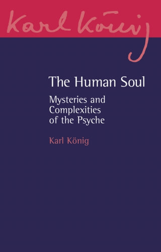 Cover image for 9781782509653 - The Human Soul