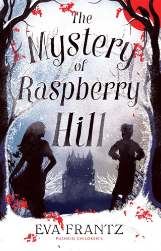 Cover image for 9781782693413 - The Mystery of Raspberry Hill