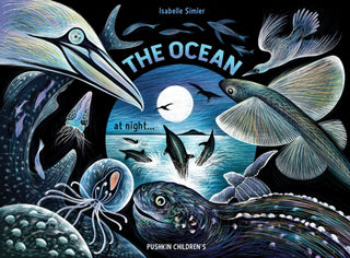 Cover image for 9781782694885 - The Ocean at Night
