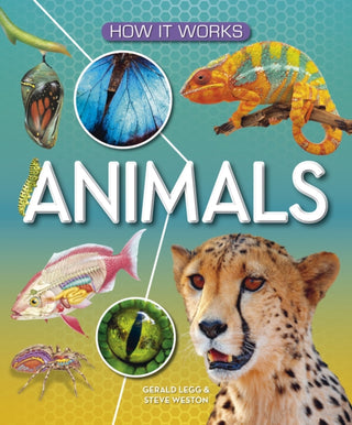 Cover image for 9781782700012 - How It Works: Animals