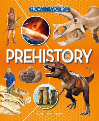 Cover image for 9781782700081 - How It Works: Prehistory