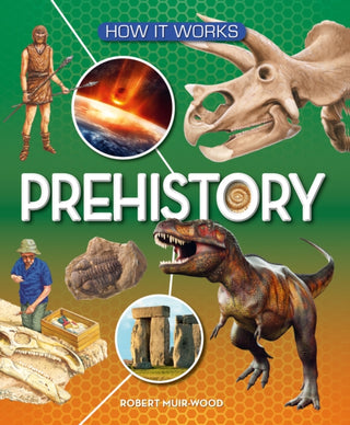 Supplemental image for 9781782700081 - How It Works: Prehistory