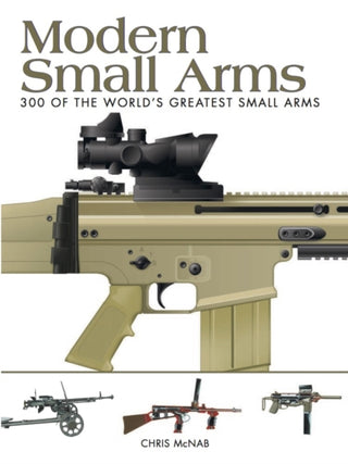 Cover image for 9781782742166 - Modern Small Arms