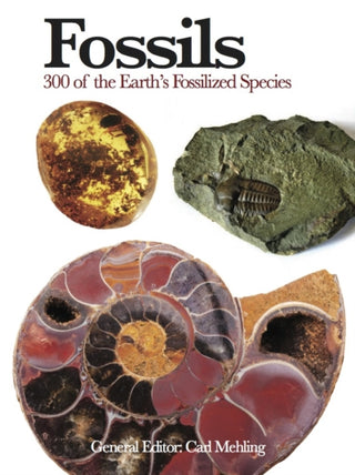 Cover image for 9781782742586 - Fossils