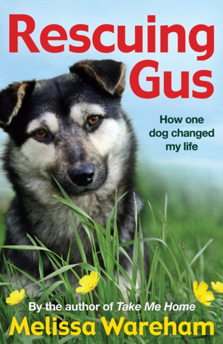 Cover image for 9781782956693 - Rescuing Gus