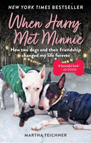 Cover image for 9781783254866 - When Harry Met Minnie