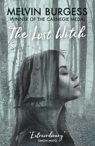 Cover image for 9781783448357 - The Lost Witch