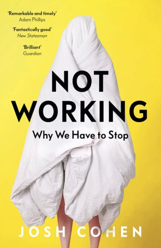 Cover image for 9781783782062 - Not Working