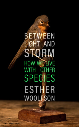 Cover image for 9781783782796 - Between Light and Storm