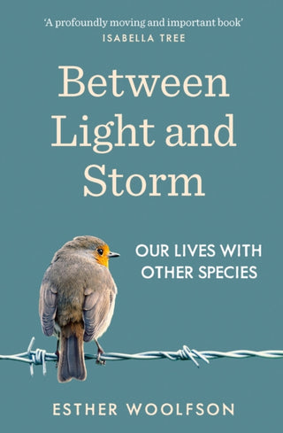 Cover image for 9781783782802 - Between Light and Storm