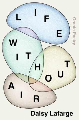 Cover image for 9781783786336 - Life Without Air