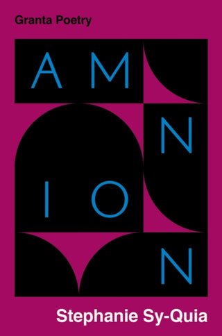 Cover image for 9781783787746 - Amnion
