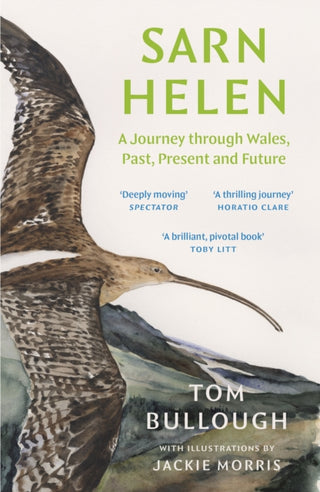 Cover image for 9781783788118 - Sarn Helen