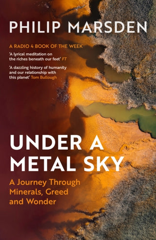Cover image for 9781783789634 - Under a Metal Sky