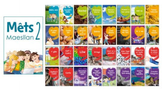 Cover image for 9781783903795 - Mets Maesllan 2