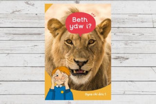 Cover image for 9781783904495 - Dyna Chi Dric: Beth Ydw I?