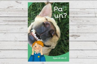 Cover image for 9781783904556 - Dyna Chi Dric: Pa Un?