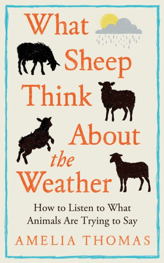 Cover image for 9781783969234 - What Sheep Think About the Weather