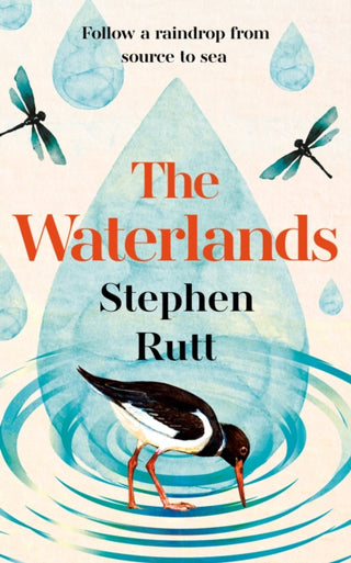 Cover image for 9781783969319 - The Waterlands