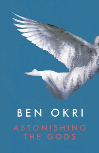 Cover image for 9781784082550 - Astonishing the Gods