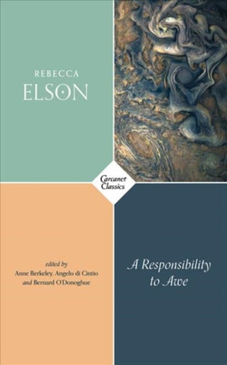 Supplemental image for 9781784106553 - A Responsibility to Awe