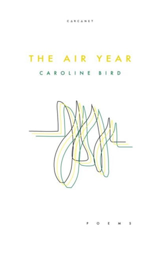 Cover image for 9781784109028 - The Air Year