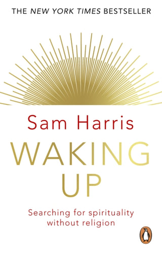 Cover image for 9781784160029 - Waking Up