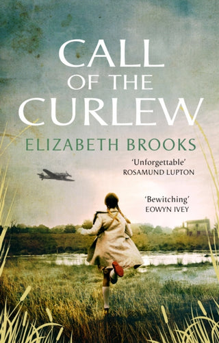 Cover image for 9781784163495 - Call of the Curlew