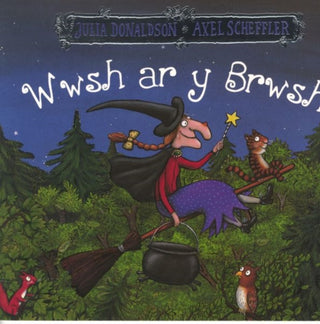 Cover image for 9781784231705 - Wwsh ar y Brwsh