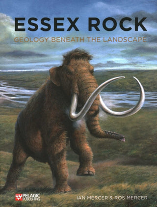 Supplemental image for 9781784272791 - Essex Rock