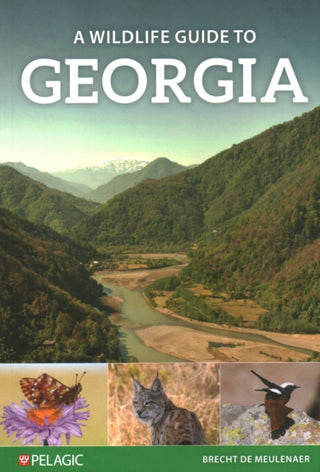 Cover image for 9781784273019 - A Wildlife Guide to Georgia