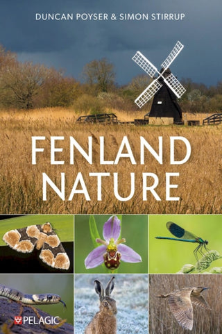 Cover image for 9781784274108 - Fenland Nature