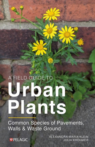 Cover image for 9781784274740 - A Field Guide to Urban Plants