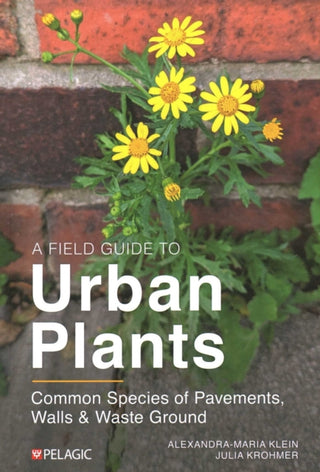 Cover image for 9781784274740 - A Field Guide to Urban Plants