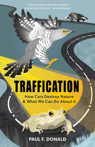Cover image for 9781784274849 - Traffication