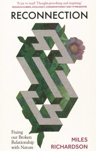 Cover image for 9781784274856 - Reconnection