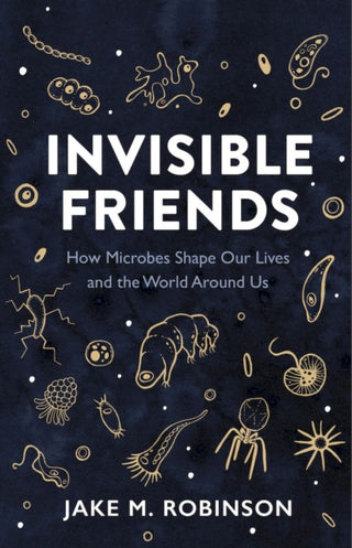 Cover image for 9781784275686 - Invisible Friends