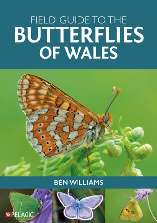 Cover image for 9781784276133 - Field Guide to the Butterflies of Wales