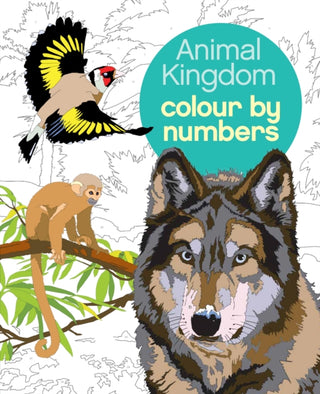 Cover image for 9781784283841 - Animal Kingdom Colour by Numbers