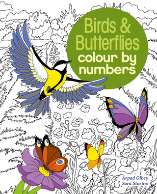 Cover image for 9781784286491 - Birds & Butterflies Colour by Numbers