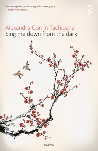 Cover image for 9781784632762 - Sing Me Down from the Dark