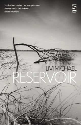 Cover image for 9781784632908 - Reservoir