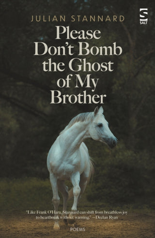 Cover image for 9781784633066 - Please Don’t Bomb the Ghost of My Brother