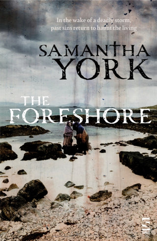 Cover image for 9781784633561 - The Foreshore