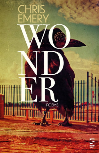 Cover image for 9781784633707 - Wonder